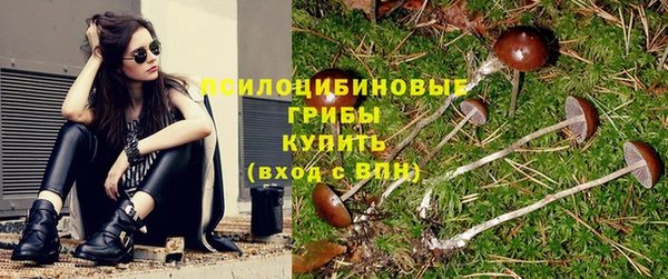 эйфоретик Аркадак